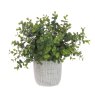 Floralsilk Small Eucalyptus In Pot