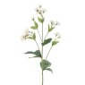 Floralsilk Eco White Astrantia Spray