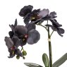 Candlelight Candlelight Faux Black Orchid in Matte Black Ceramic Footed Pot
