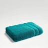 Vivid Teal