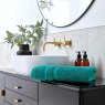 Christy Christy Signum Vivid Teal Towels