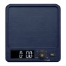 Taylor Taylor Pro Antibacterial Digital Dual Kitchen Scale