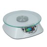 Taylor Taylor Mini Dual Platform Glass Scale
