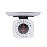Taylor Taylor White High Capacity Food Scale