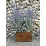 Norfolk & Co Norfolk & Co Large Vintage Aldiss Storage Crate