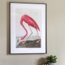 Gallery Direct Gallery Wading Flamingo Framed  Art