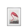 Gallery Direct Gallery Wading Flamingo Framed  Art