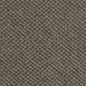 Iron