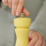 Cole & Mason Cole & Mason Turmeric Kenton Salt & Pepper Mill