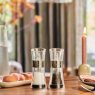 Cole & Mason Cole & Mason Chrome Flip Salt & Pepper Mill Set