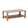 Arlo Coffee Table on a white background