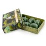 Candlelight Bukhara Moon And Star Wax Melts