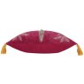 Paoletti Paoletti Kalahari Multicoloured Embroidered Velvet Cushion