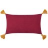 Paoletti Paoletti Kalahari Multicoloured Embroidered Velvet Cushion