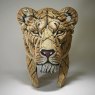 Edge Sculptures - Yuna The Lioness Bust