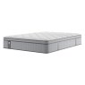 Sealy Elevate Nelson Mattress white background