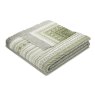 Biederlack Kian Stripe Green Throw
