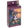 Shudehill Dinky Jigsaws CDU Country Dogs red box