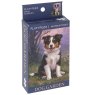 Shudehill Dinky Jigsaws CDU Country Dogs navy box
