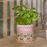 Cath Kidston Spitalfields Silk Plantpot With Tray lifestyle