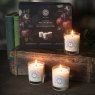 Freckleface The Scent Library Candle Discovery Set Lifestyle