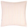 Blush/terracotta