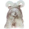 Ashwood Leather Wool Sheep Wolf Tip reverse