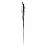 Black Foxtail 73cm