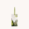 White Freesia & Pear