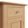 Aldiss Own Coastal Small Cupboard