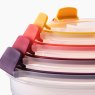 Joseph Joseph Nest Lock 4-Piece Multi Round Container Set nesting lids