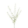 Floralsilk Snowstorm Eucalyptus