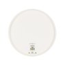 Artisan Street Dinner Plate