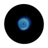 Maxwell Williams Caviar Midnight 17cm Noodle Bowl Top down