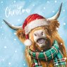 The Dark Room The Dark Room Christmas Highland Cows Pack of 16 Cards