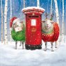The Dark Room The Dark Room Christmas Jumper Sheeps Pack of 16 Cards