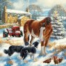 Paper House Paper House Farmyard Animals Pack of 16 Cards