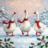 The Dark Room The Dark Room Winter Geese Pack of 16 Cards