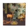 Candlelight Pine Forest Tealights Set Of 9 in box