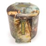 Candlelight Pine Forest LED Candle in packaging