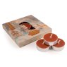 Candlelight Mistletoe Woodland Tealights Set Of 9 with box