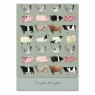 Sophie Allport Sophie Allport Pocket Assorted Notebook