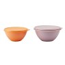 Tupperware Wonder Bowl Set Of 2 seperate