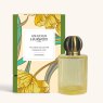Ashleigh & Burwood Champagne Linear Fragrance Lamp with box