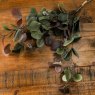 Hill Interiors Hill Interiors Burgundy Peony Rose