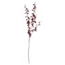 Hill Interiors Hill Interiors Deep Burgundy Orchid Spray