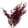 Hill Interiors Hill Interiors Deep Burgundy Orchid Spray