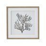 Hill Interiors Hill Interiors Reef Coral Art Mounted In Beaded Frame