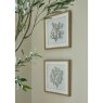 Hill Interiors Hill Interiors Reef Coral Art Mounted In Beaded Frame