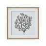 Hill Interiors Hill Interiors Atol Coral Art Mounted In Beaded Frame